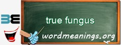 WordMeaning blackboard for true fungus